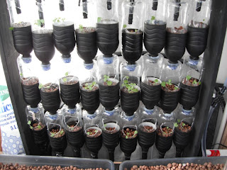 aquaponics system vertical hydroponics hydroponic grow beds strawberry using plants aquaponic growing bottles garden water diy bottle systems gives additional