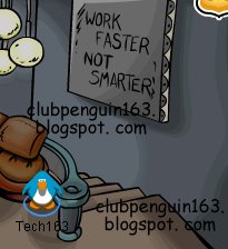 [XP+07+Book+Room+Coin+3.JPG]