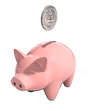 [piggybank.jpg]