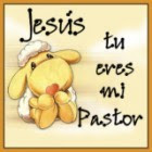 TU ERES MI PASTOR!!!
