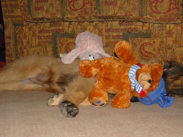 Ducky, Teddy, and Tiva