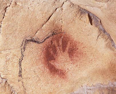 chauvet chauvet