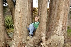 me in a Tree