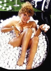 jan stephenson calendar