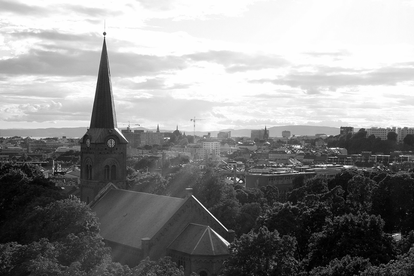 [IMG_7960.JPG]