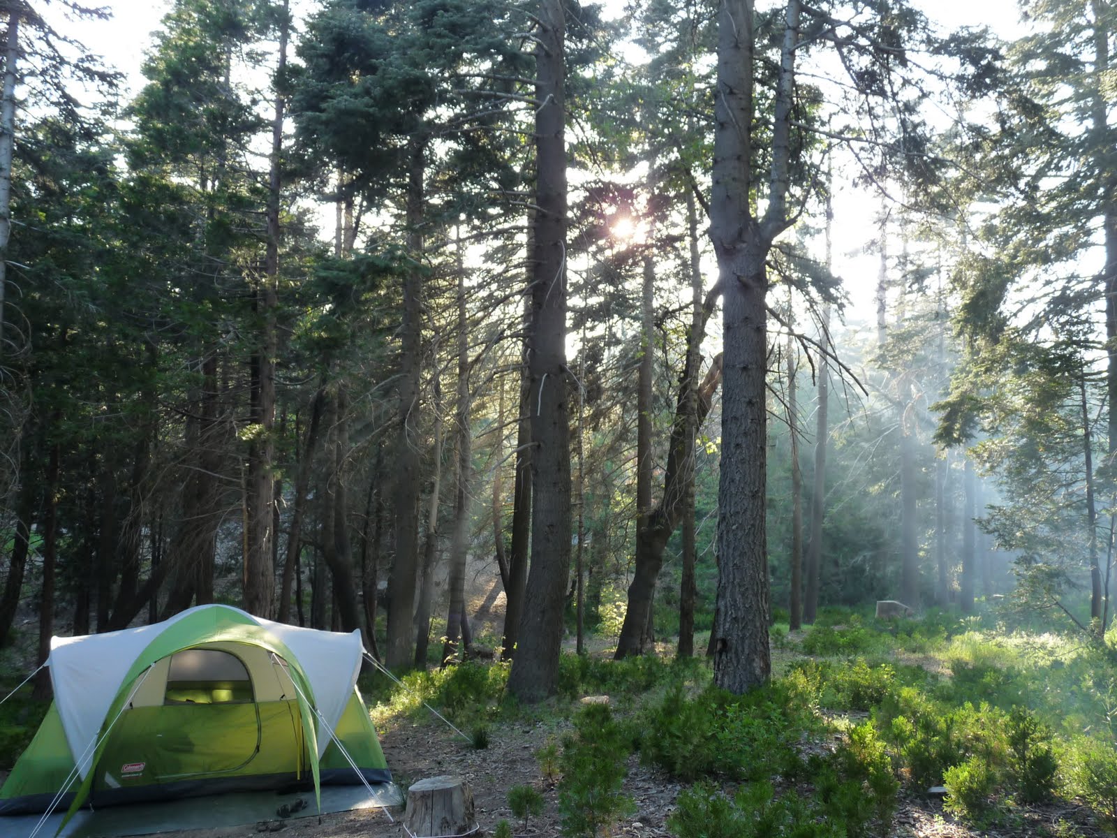 Practically Next Door To The Vaughn 4 Camping Trip To Lake Arrowhead