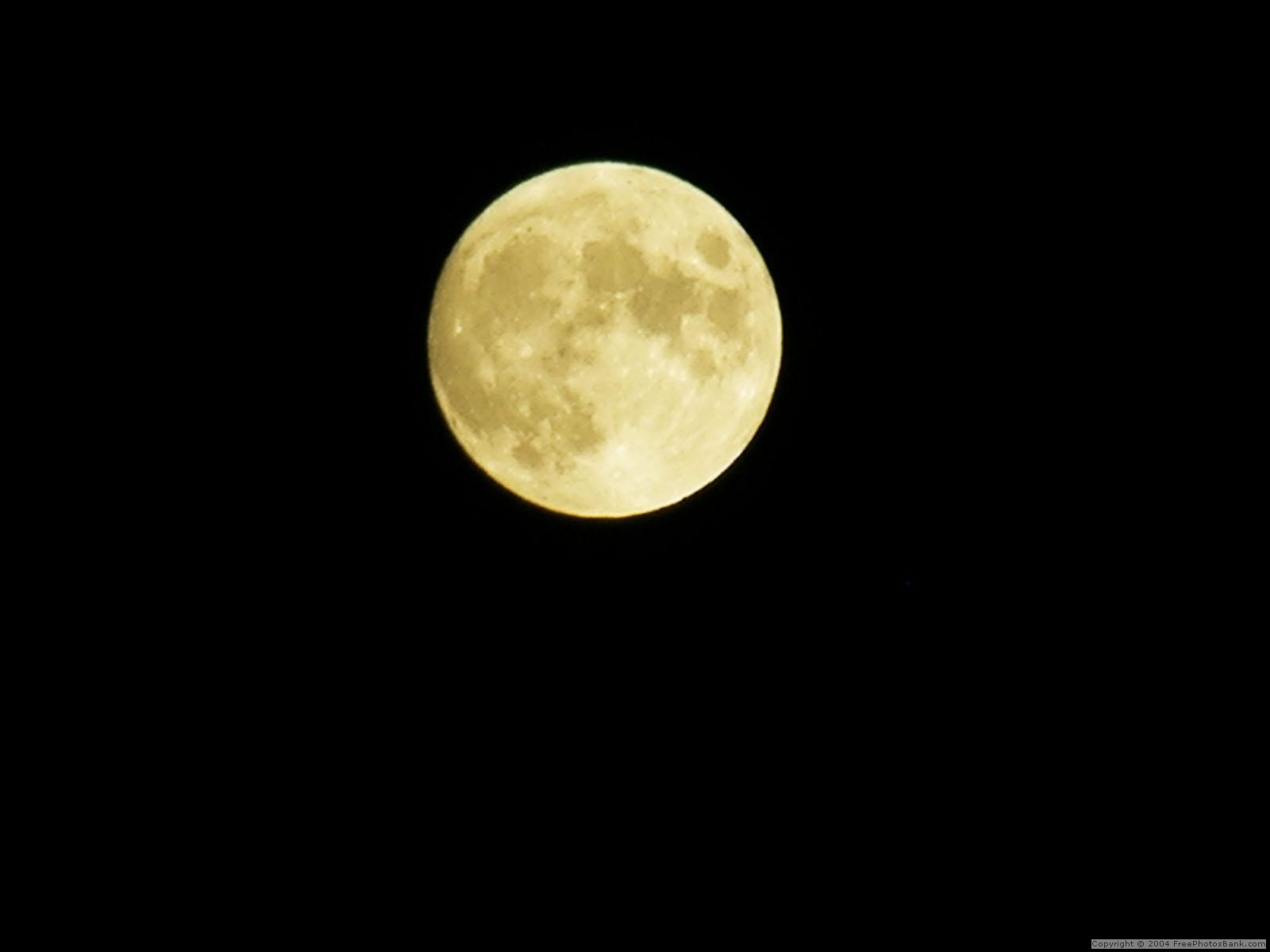 [822205f8a757638b106a2109773a1fc1.jpg]