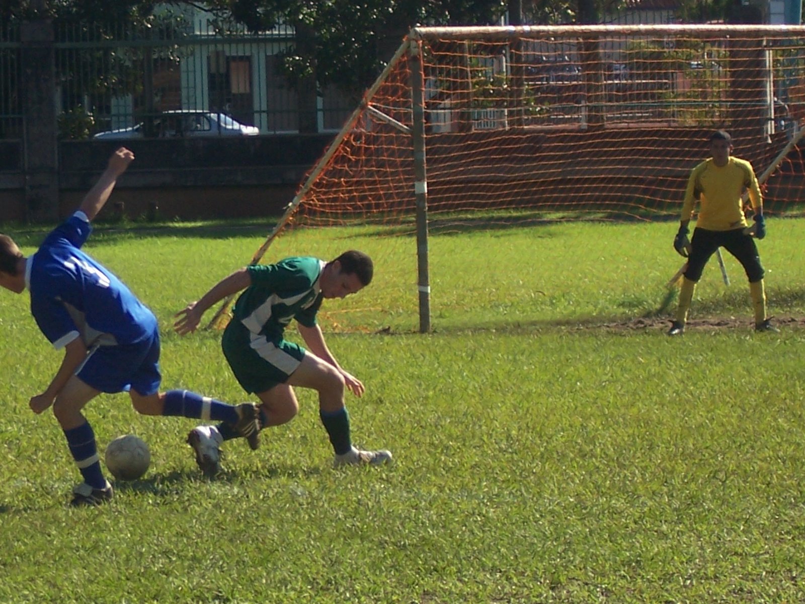 [Colegio+v.+UPR+Carolina+008.JPG]