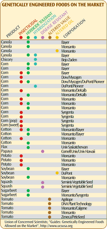 [gmo-foods-on-market.gif]