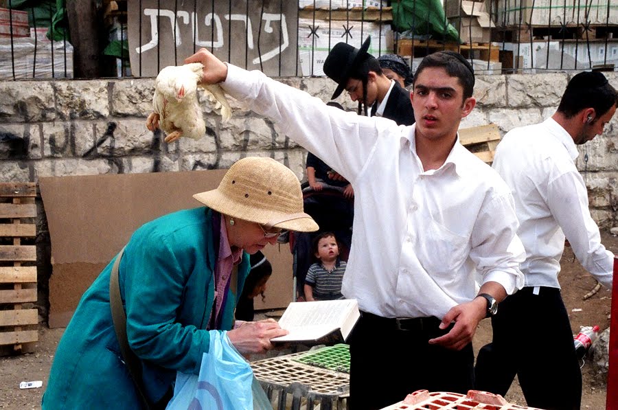 [276138214_45fae747d0_o.jpg]