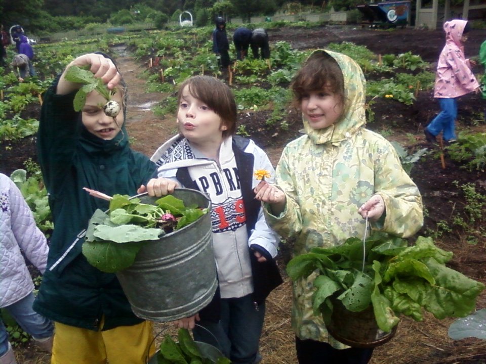 [childrens-garden.jpg]