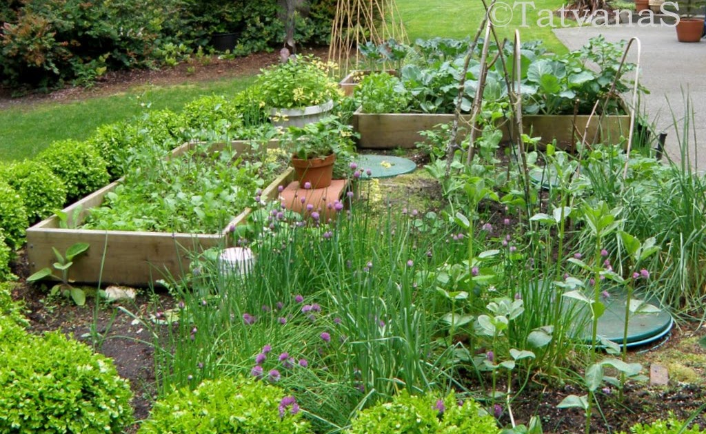 MySecretGarden Using Raised Beds in Winter. Part 1