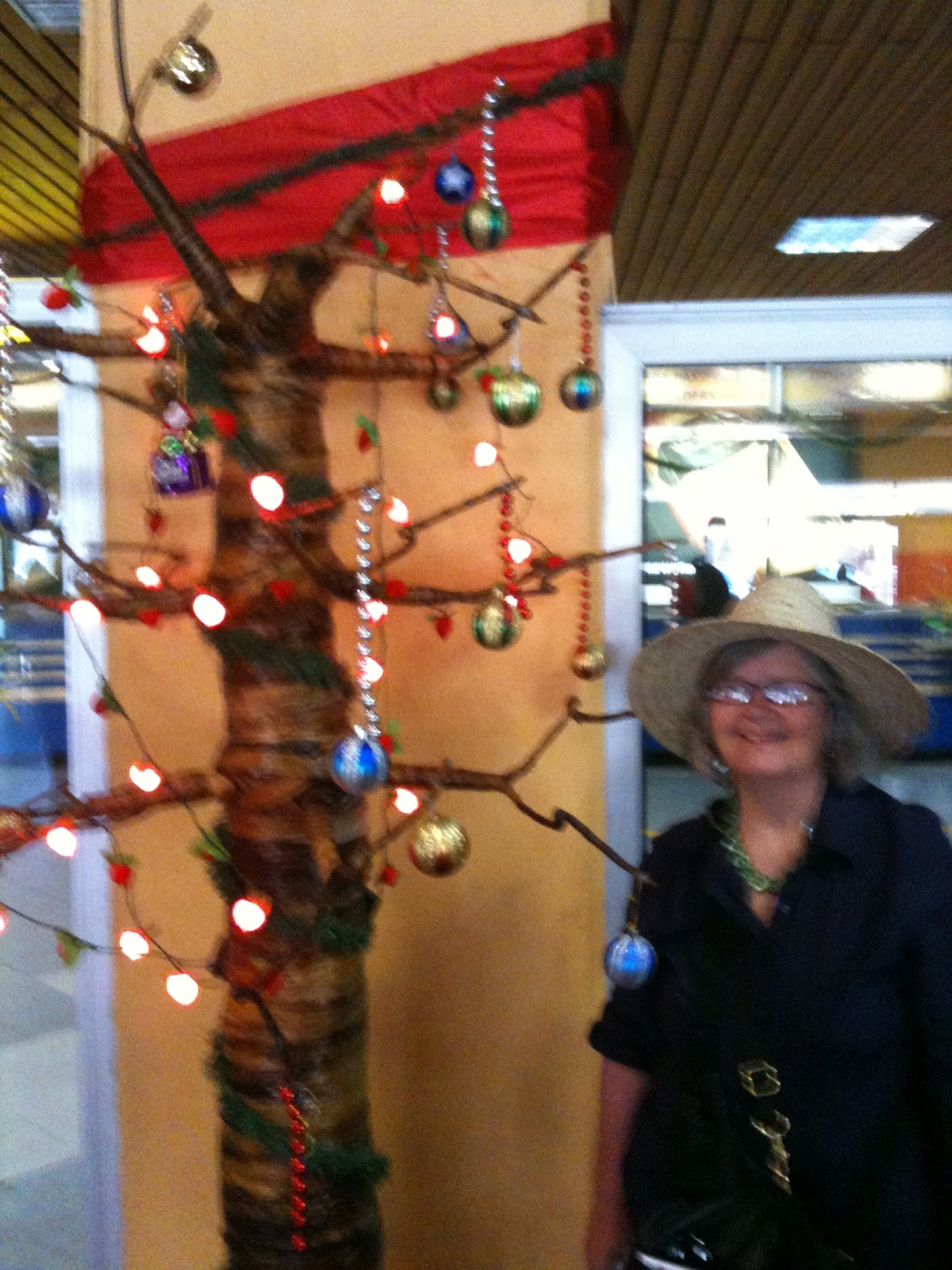 Jane's African Adventure 201011 Christmas in Nairobi