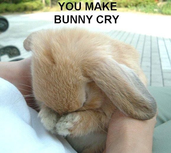 [bunnysad.jpg]