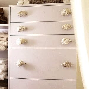 sea shell drawer pulls