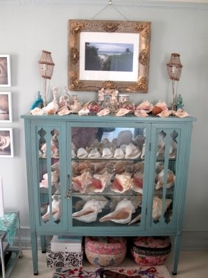 glass cabinet with shells