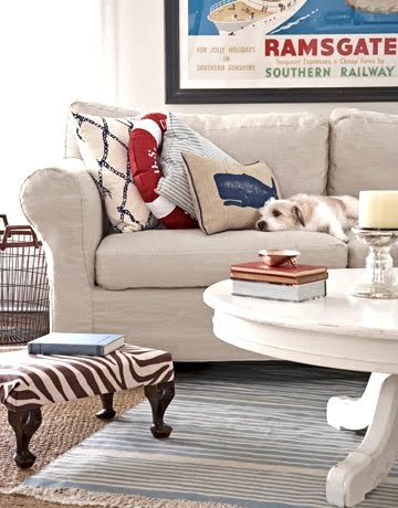 dog on couch