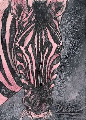 pink zebra aceo pink zebra aceo