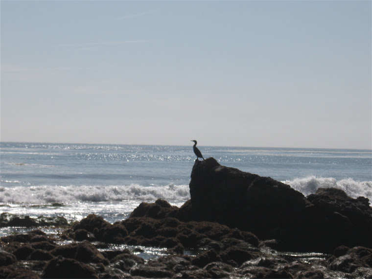 El Matador Beach