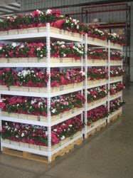 [Woodburn-racks.jpg]