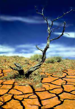 drought quotes