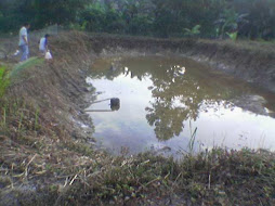 kolam ikan al Husna