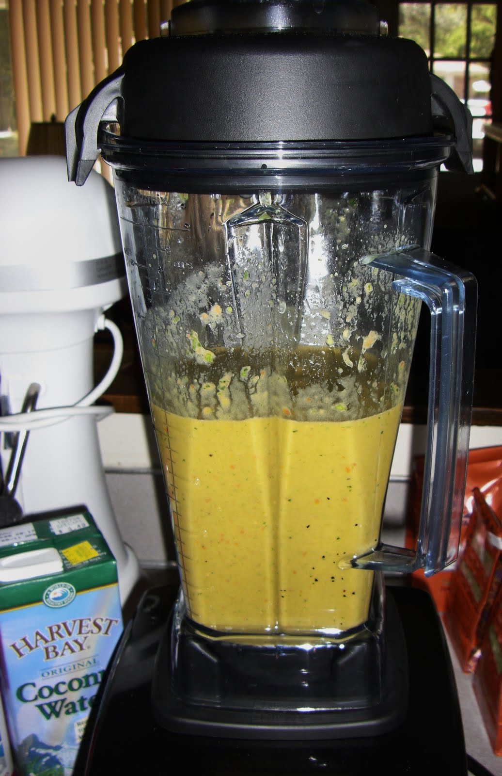 My 1st Vitamix Veggie Soup and Tropical Traditions Coconut Concentrate