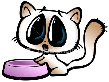 [ist2_3608900-cute-kitty-begging-near-an-empty-bowl.jpg]
