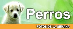 FOTOS DE LA SEMANA