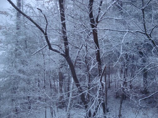 [snow.JPG]