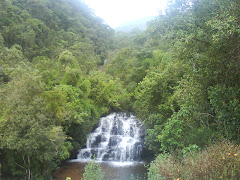 que venha a cachoeira da liberdade