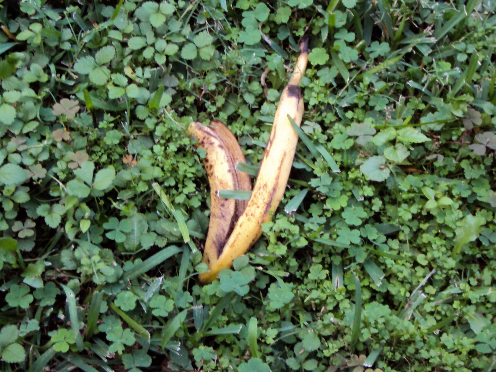 Paxton's chemistry blog Properties