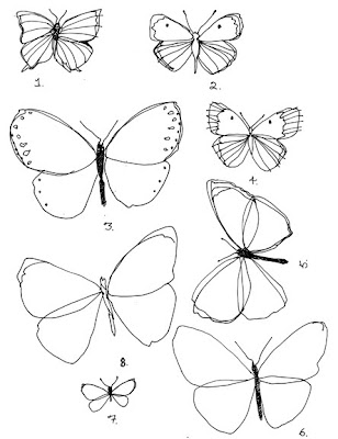 sketch butterflies