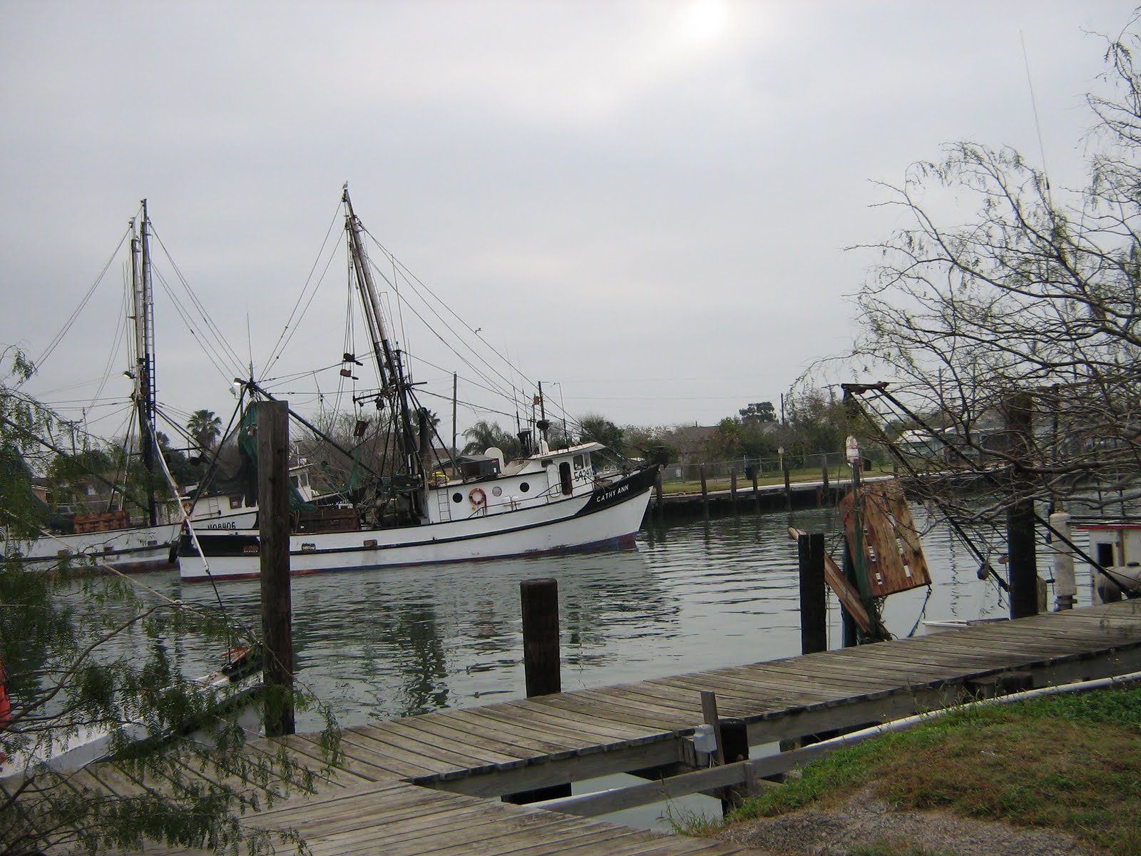 [IMG_0166.JPG]