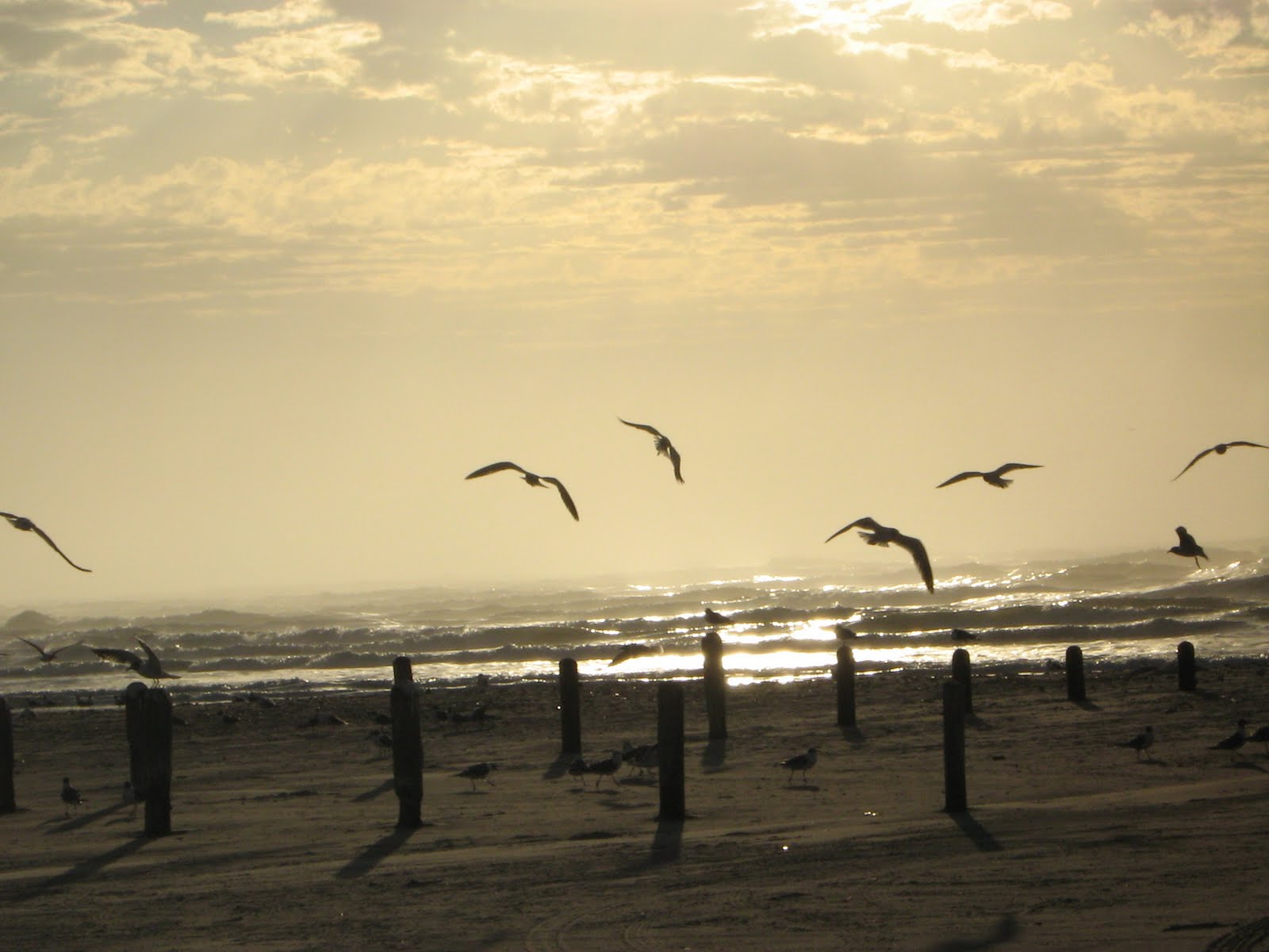 [IMG_0645.JPG]