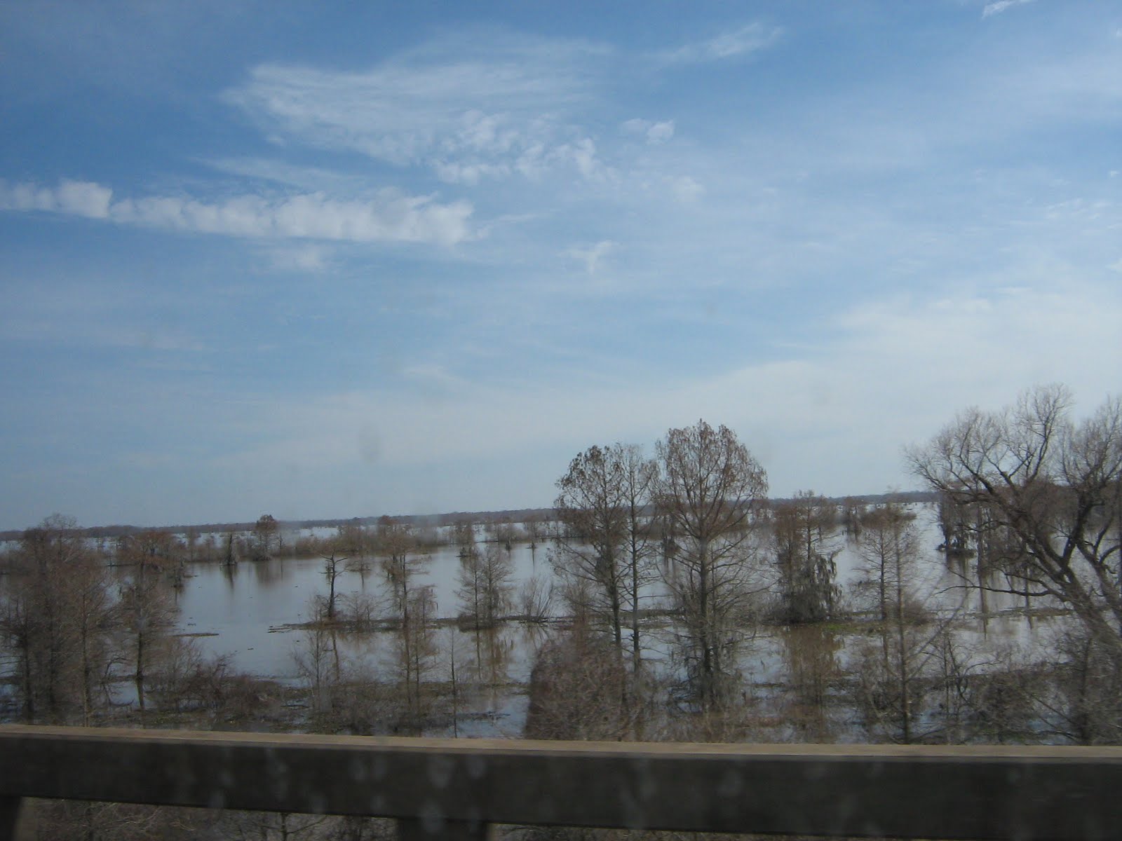 [IMG_0737.JPG]