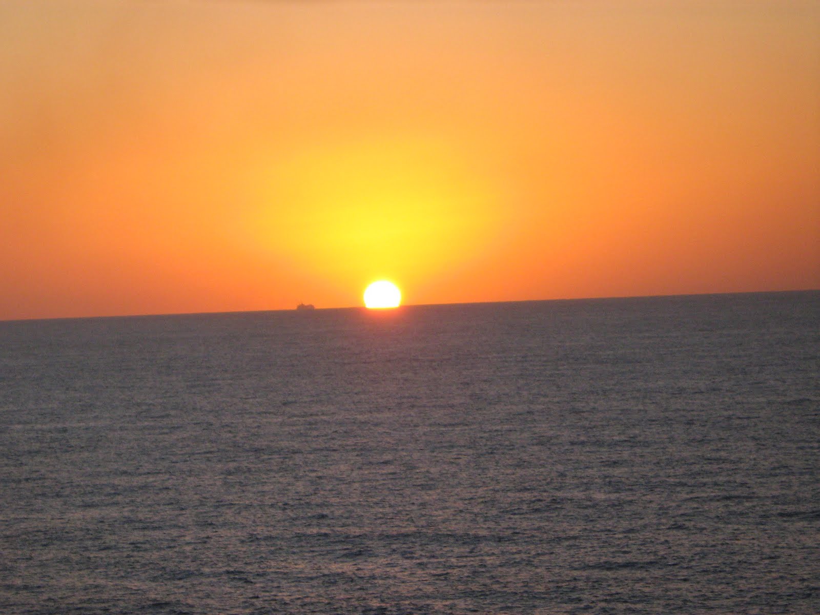 [IMG_0797.JPG]