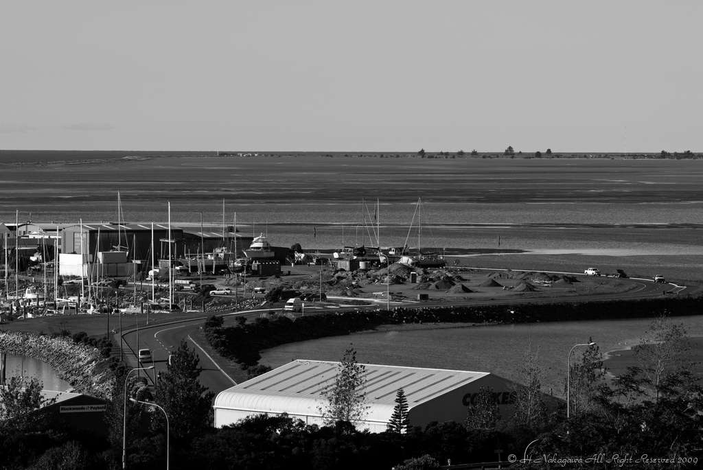 [20090323-5.jpg]