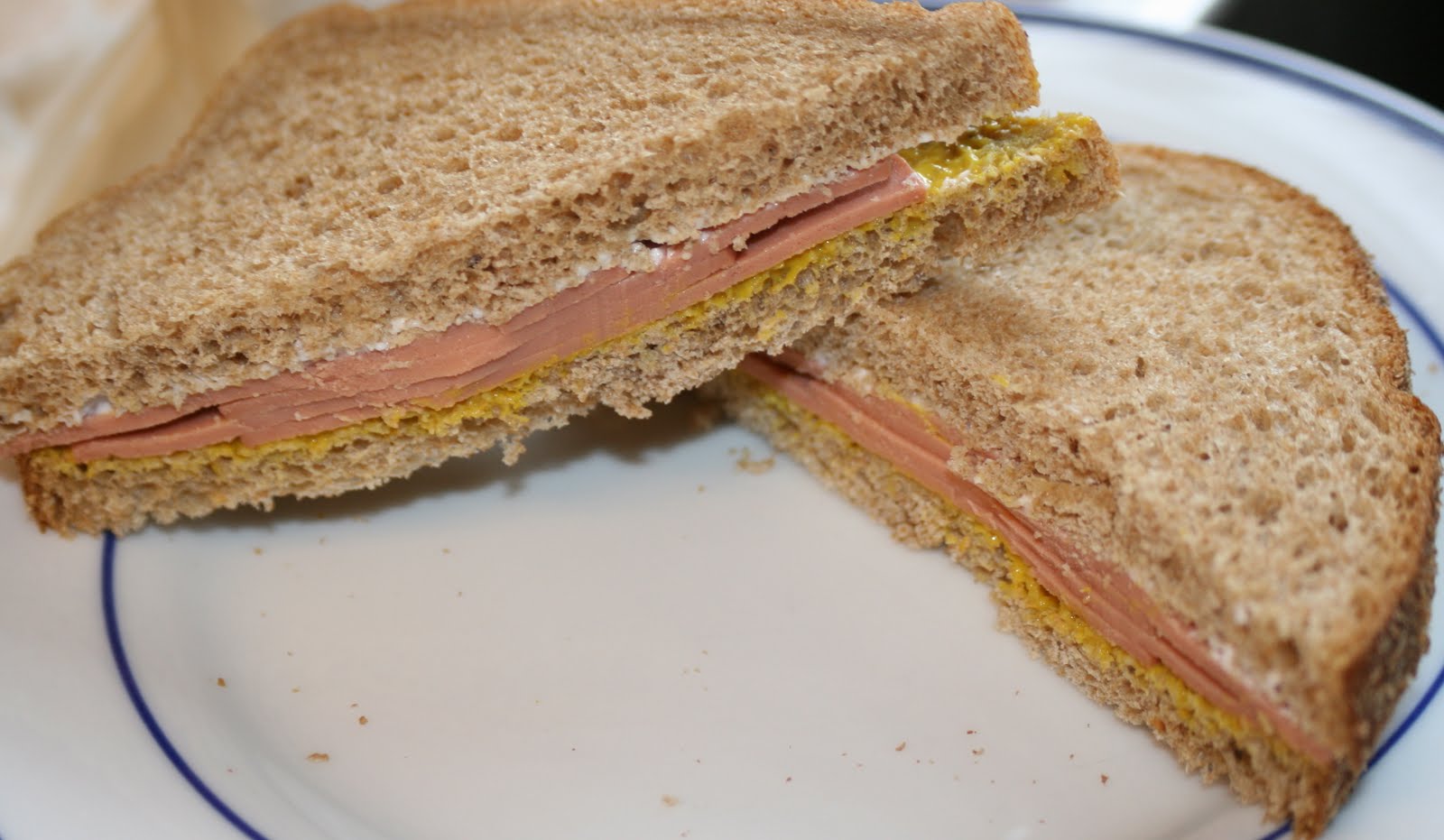 Sandwich Baloney