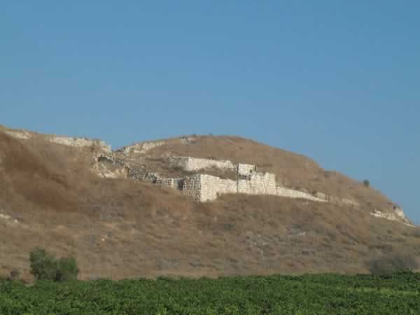 [DCP_1264LAQUIS.jpg]