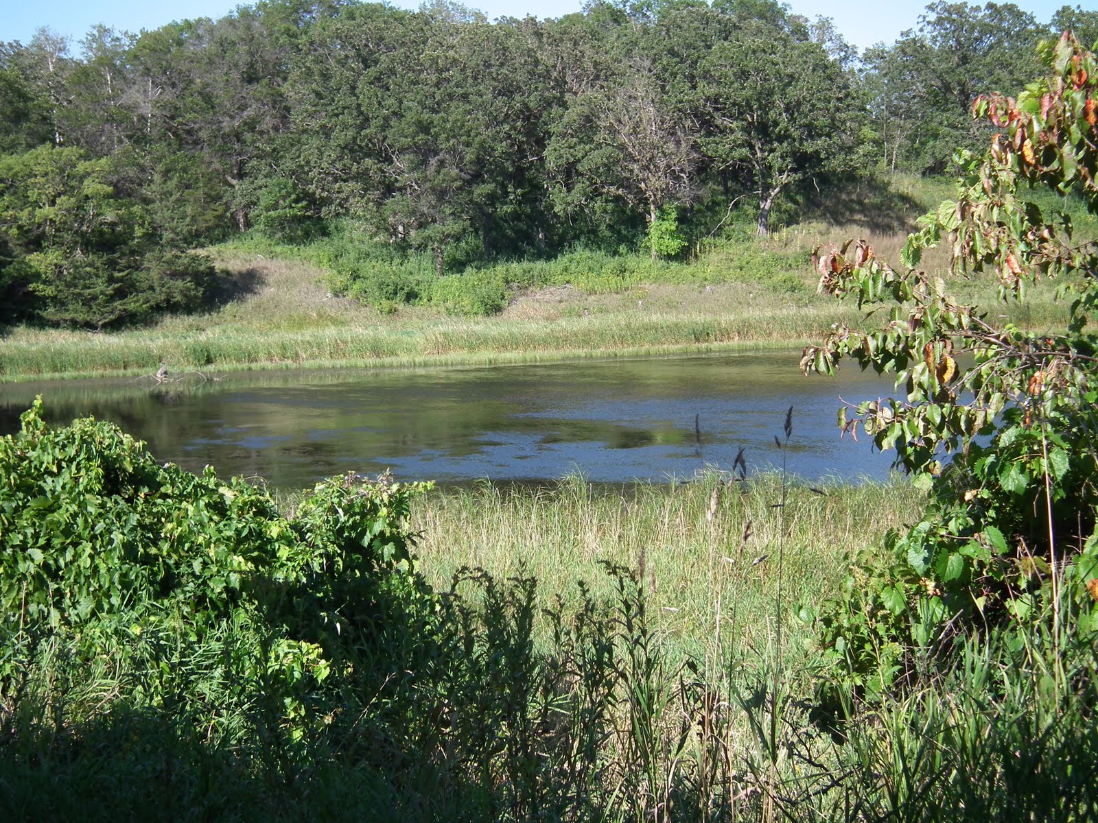 http://4.bp.blogspot.com/_q_DxLcObhWA/THyDHpzr9LI/AAAAAAAABYI/uiCV1Qb2cPA/s1600/Minnesota+2010+168.jpg