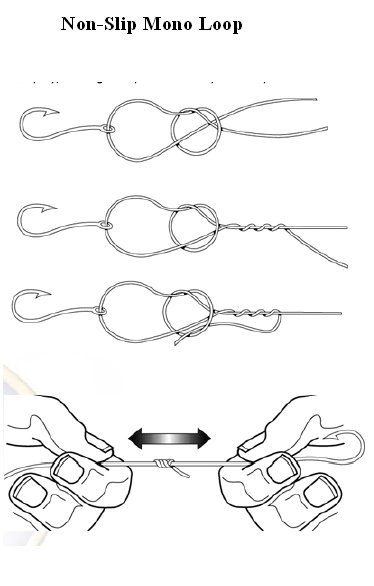 [Non-Slip+Mono+Loop.bmp]