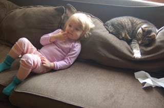 Cat Keeps Coughing Cat Keeps Coughing