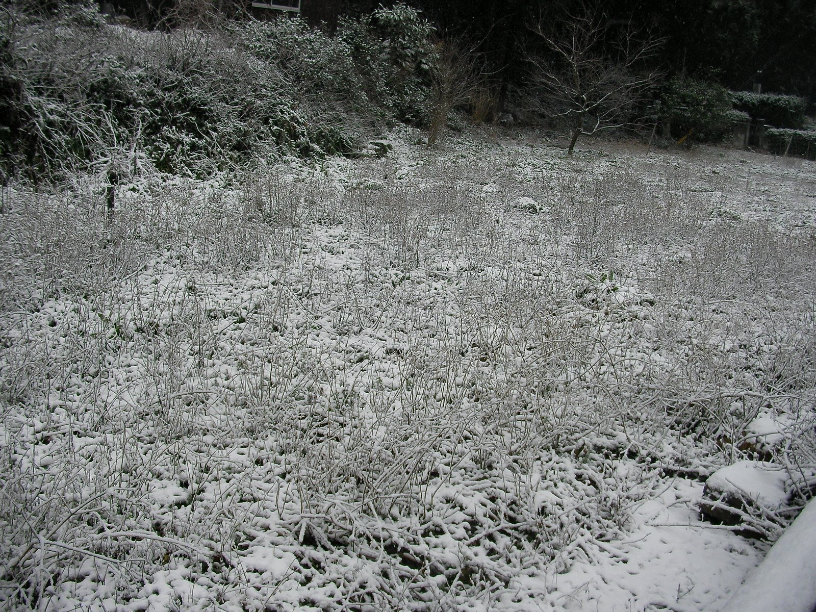 [2010年03月10日08時37分58秒.jpg]