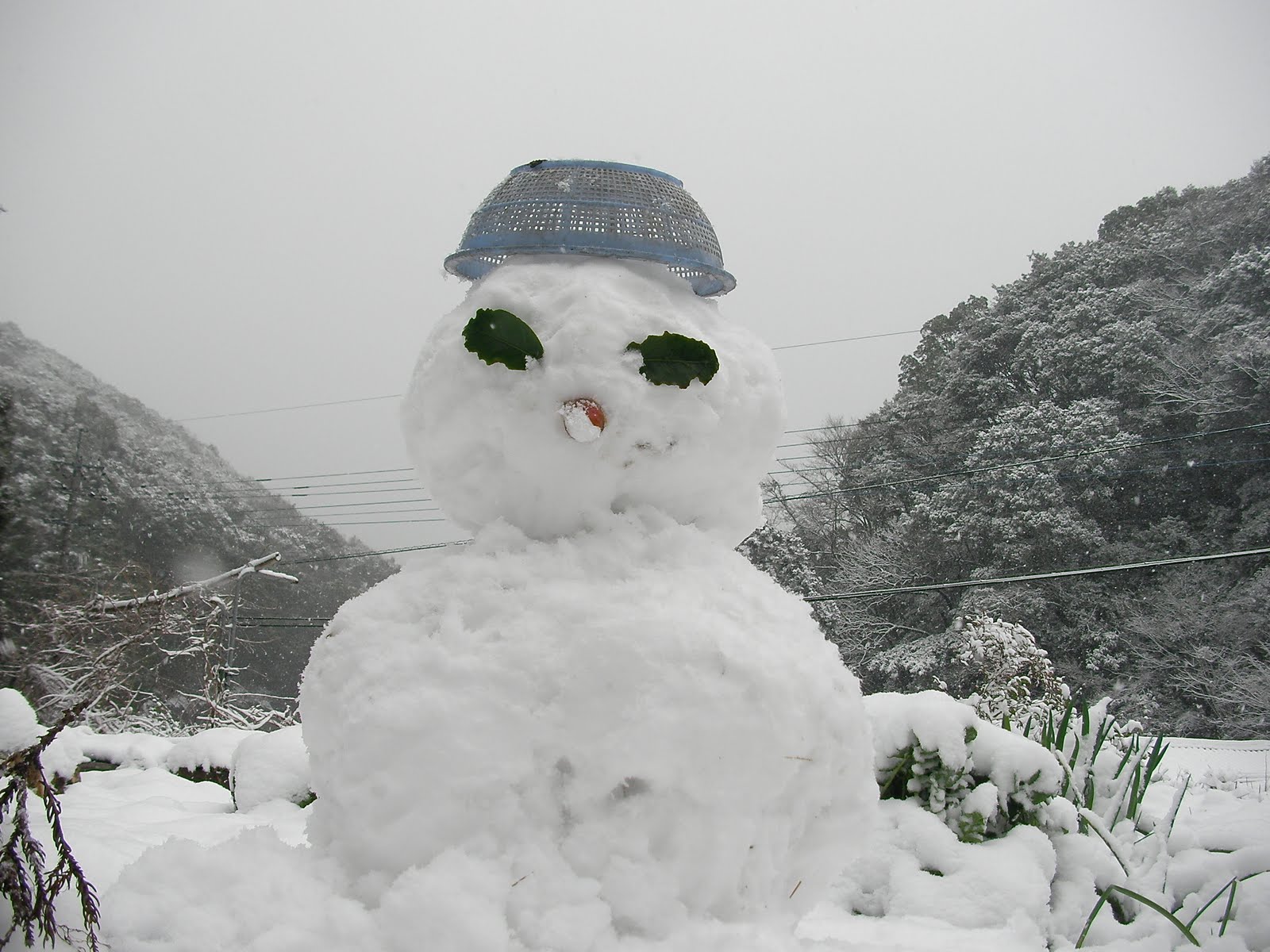 [2010年03月10日13時25分14秒.jpg]