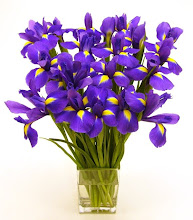 Louisiana WILD IRISES