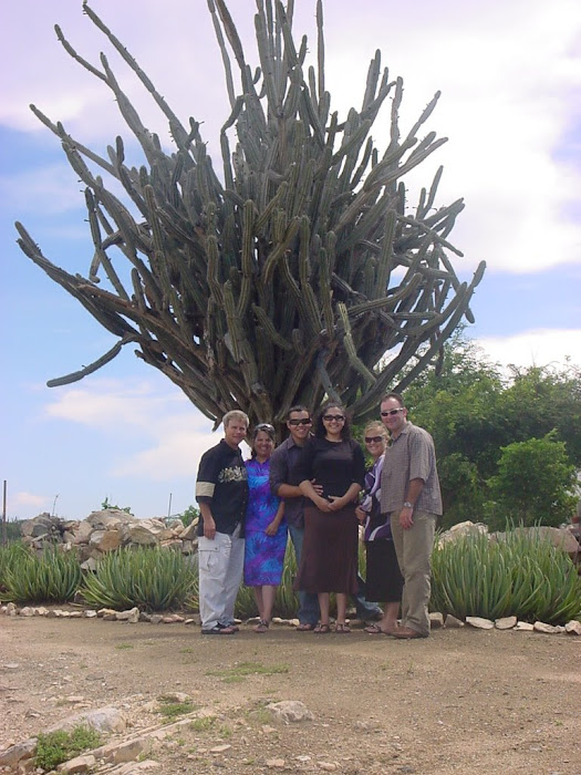 World's Largest Cactus I believe We Were Told