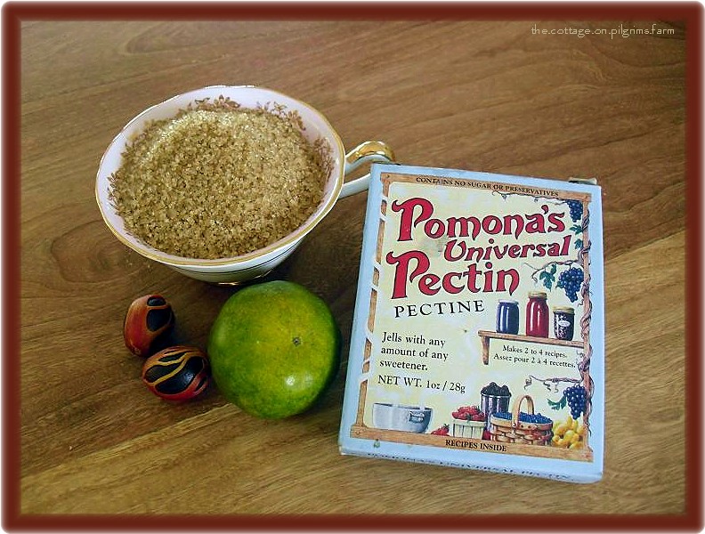 Cottage Life on Pilgrim's Farm Nutmeg Jam...