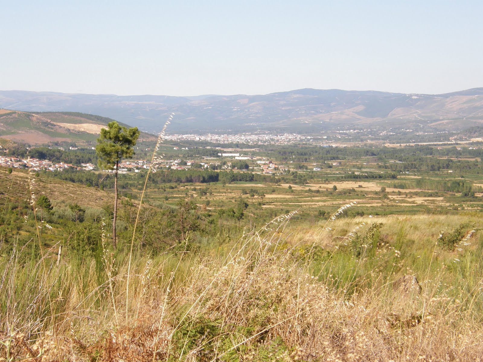 [P8281297.JPG]