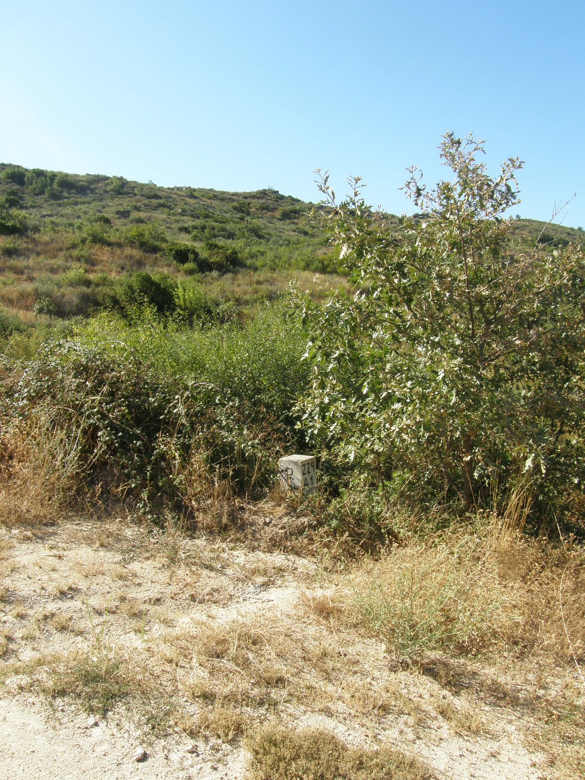 [P8281295.JPG]